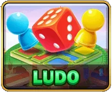 Ludo game